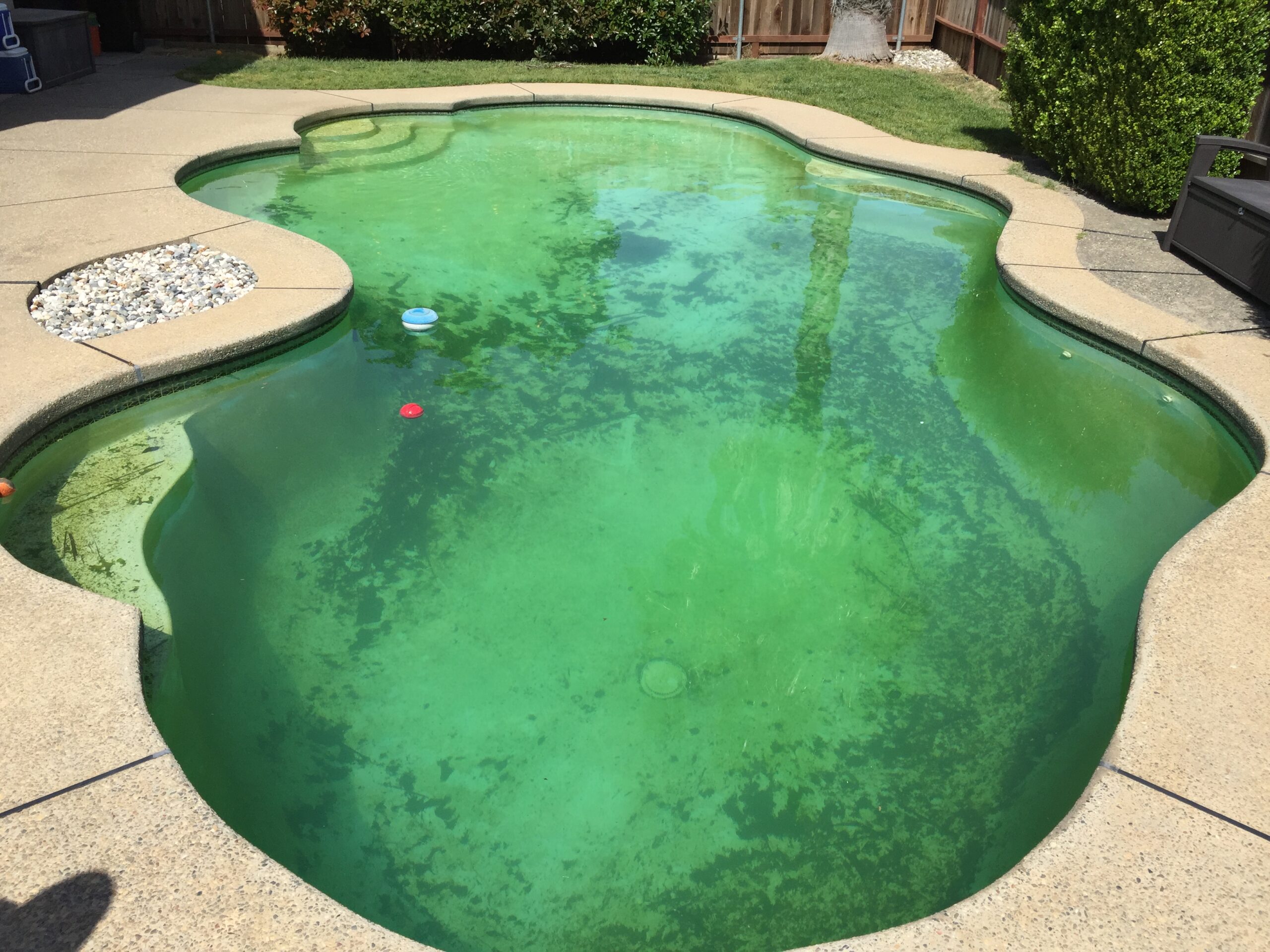 Green 2 Clean Pool Treatment Elk Grove