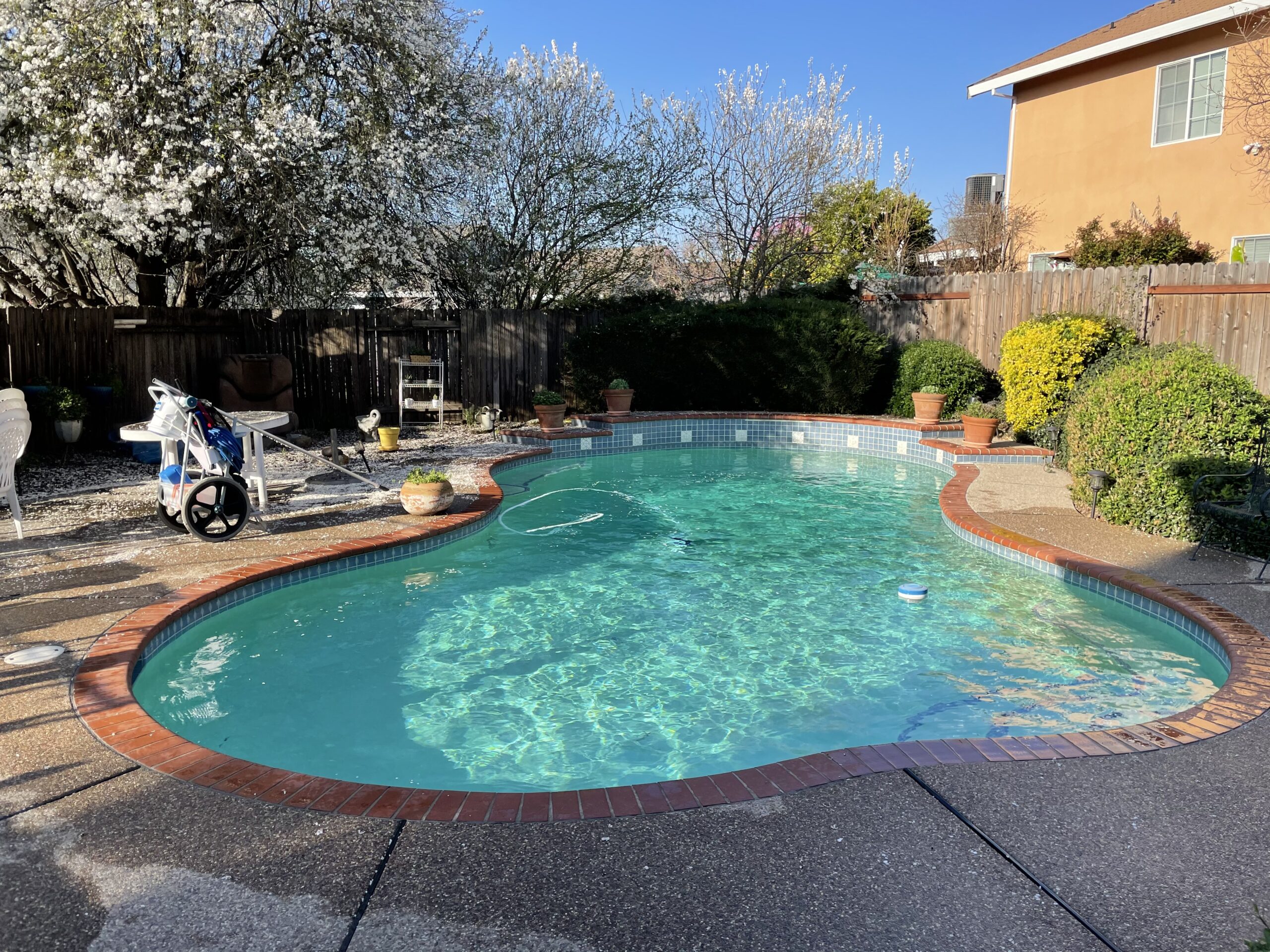 Pool Cleaning Service Elk Grove