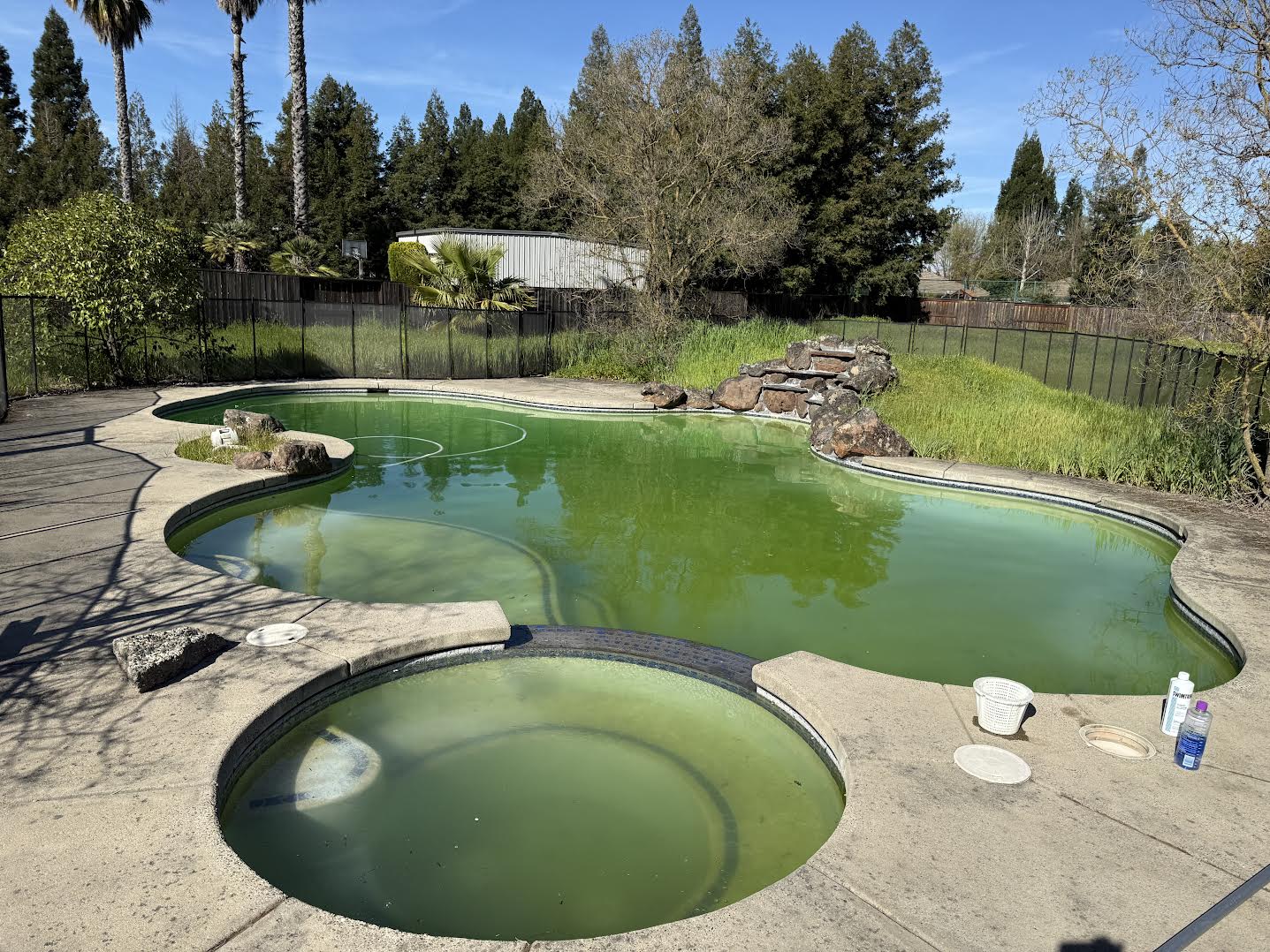 Backyard pool with green water and a separate circular spa, stone edging, and a rock waterfall feature surrounded by a fence and trees.