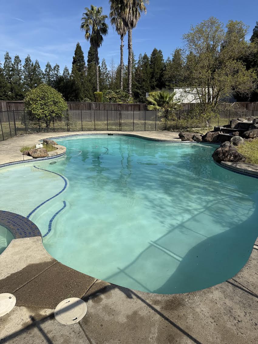 Backyard swimming pool with curved edges, clear blue water, and a concrete deck, fenced by a tall lattice fence with trees in the background.