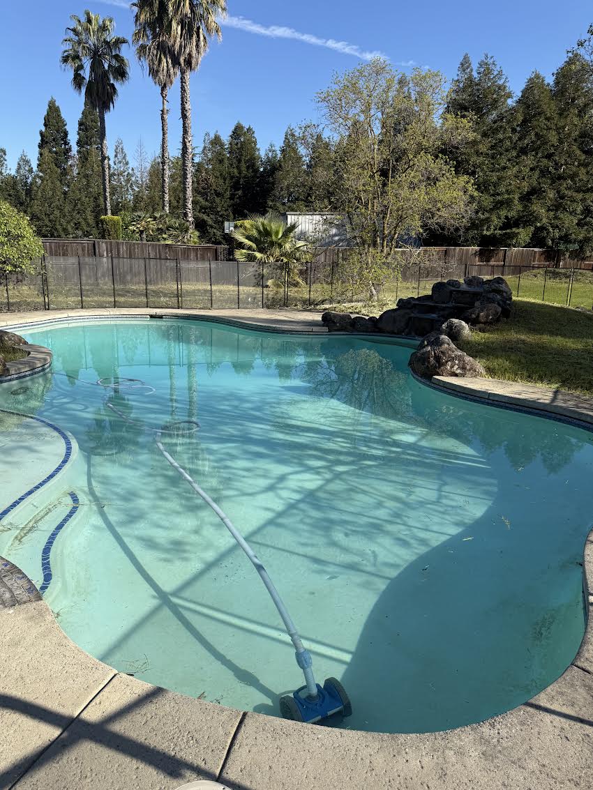 Empty backyard swimming pool with a pool cleaner hose drifting on the water, fenced yard, and palm trees in the background.